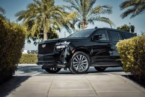 Black Cadillac Escalade SUV parked on a sunny driveway lined with palm trees